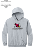 Newark Valley Baseball Youth Hooded Sweatshirt SF500B